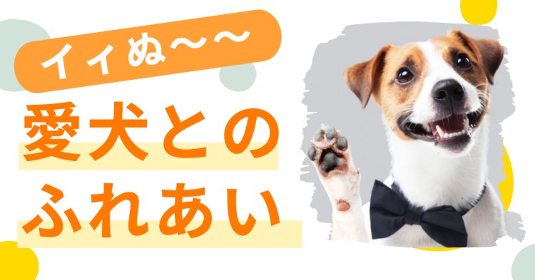イィぬ～～　愛犬とのふれあい